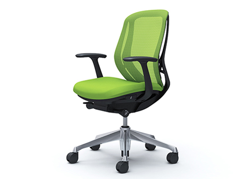 Sylphy C641BR FMP5 [���C���O���[��] �̐��i�摜