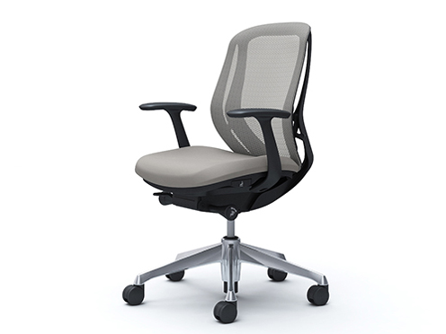 Sylphy C641BR FMR3 [���C�g�O���[] �̐��i�摜