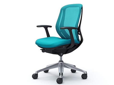 Sylphy C641BR FMR6 [�u���[�O���[��] �̐��i�摜