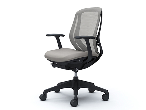 Sylphy C641XR FMR3 [���C�g�O���[] �̐��i�摜