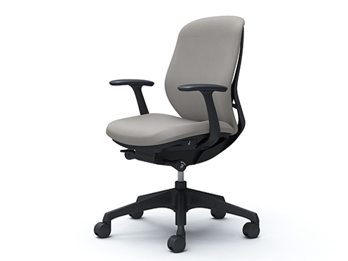 Sylphy C643XR FSG3 [���C�g�O���[] �̐��i�摜