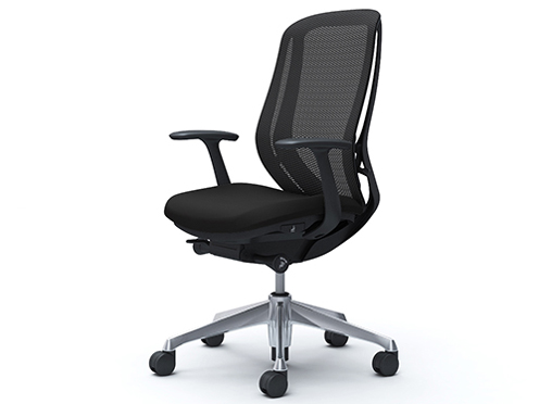 Sylphy C645BR FMP1 [�u���b�N] �̐��i�摜