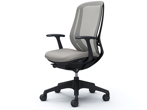 Sylphy C645XR FMR3 [���C�g�O���[] �̐��i�摜