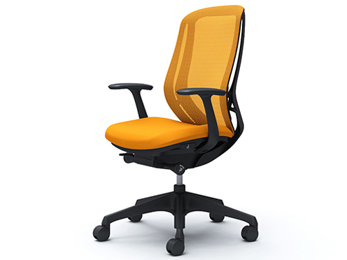 Sylphy C645XR FMR8 [�I�����W] �̐��i�摜