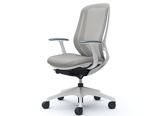 Sylphy C645XW FMR3 [���C�g�O���[] �̐��i�摜