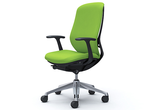 Sylphy C647BR FSF5 [���C���O���[��] �̐��i�摜