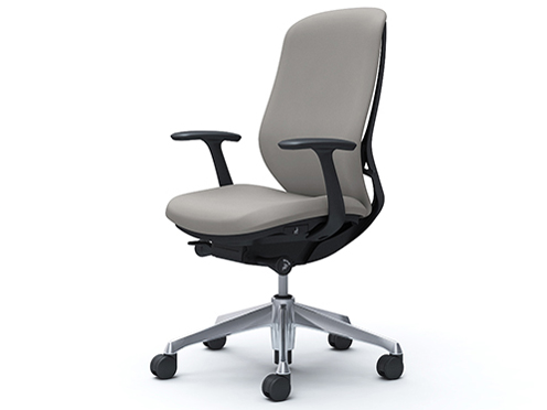 Sylphy C647BR FSG3 [���C�g�O���[] �̐��i�摜