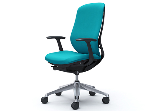 Sylphy C647BR FSG6 [�u���[�O���[��] �̐��i�摜