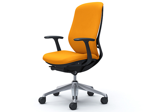 Sylphy C647BR FSG8 [�I�����W] �̐��i�摜