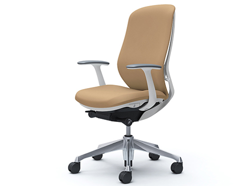 Sylphy C647BW FSF7 [�x�[�W��] �̐��i�摜