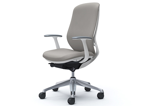 Sylphy C647BW FSG3 [���C�g�O���[] �̐��i�摜