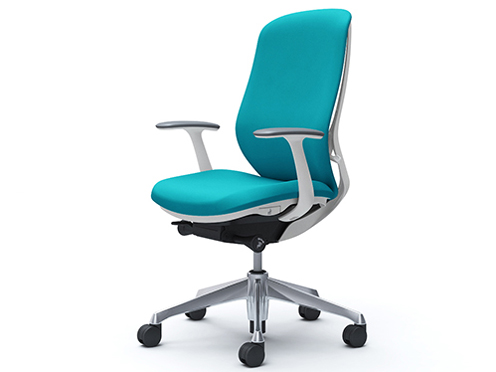 Sylphy C647BW FSG6 [�u���[�O���[��] �̐��i�摜