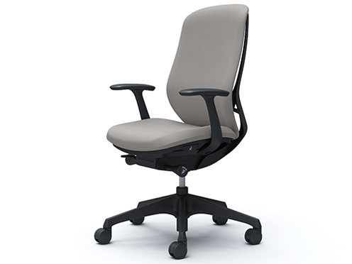 Sylphy C647XR FSG3 [���C�g�O���[] �̐��i�摜