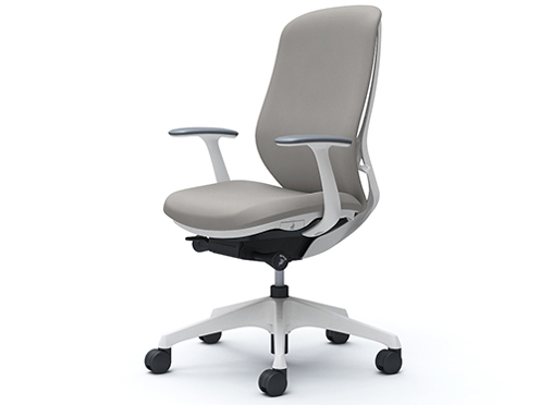 Sylphy C647XW FSG3 [���C�g�O���[] �̐��i�摜