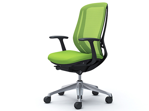 Sylphy C645BR FMP5 [���C���O���[��] �̐��i�摜