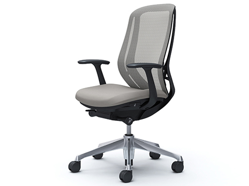 Sylphy C645BR FMR3 [���C�g�O���[] �̐��i�摜