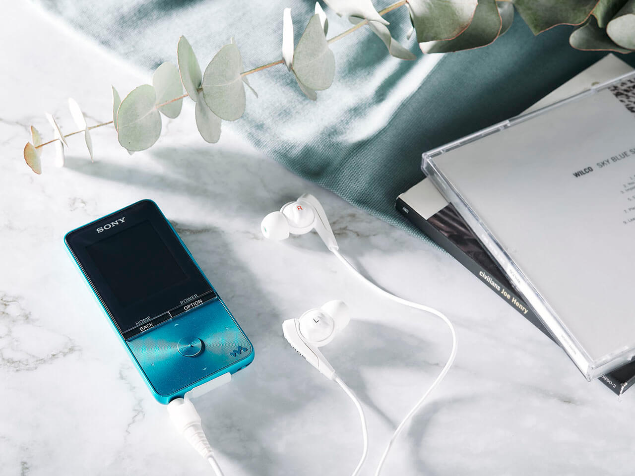 NW-S315 (L) [16GB �u���[]