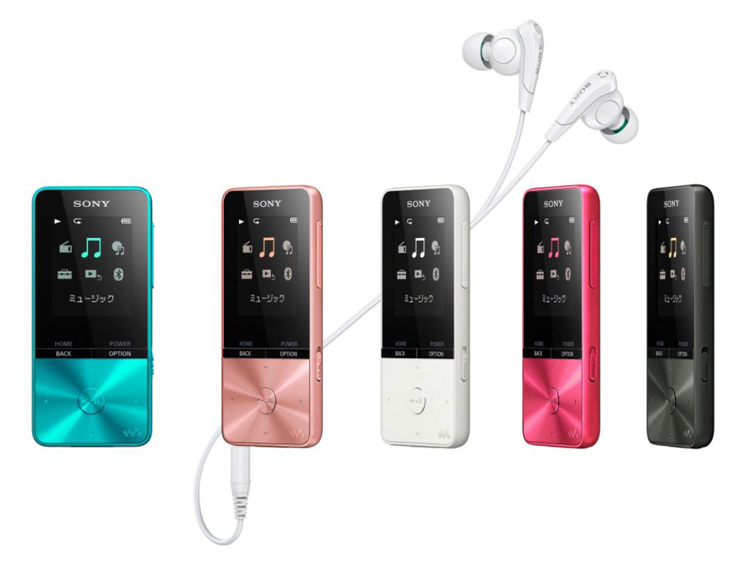 NW-S315 (L) [16GB �u���[]