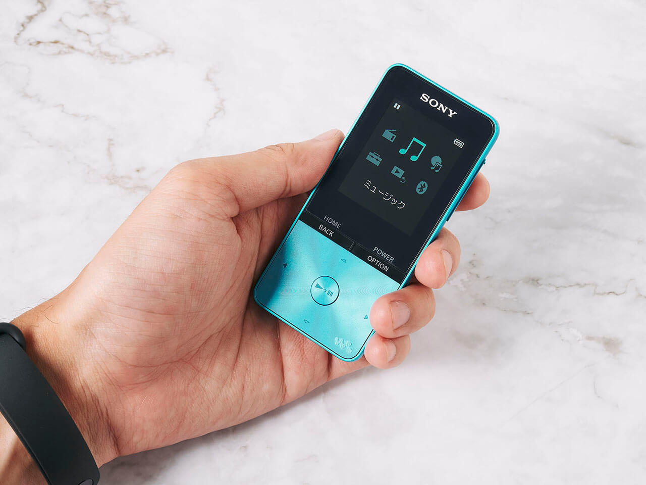 NW-S313 (L) [4GB �u���[]