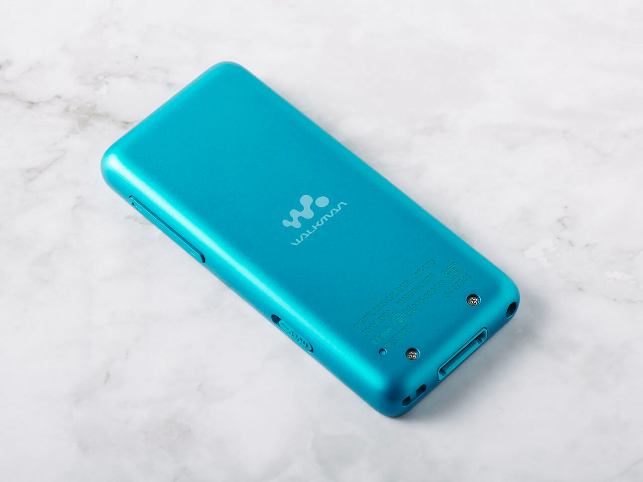 NW-S313K (L) [4GB �u���[]