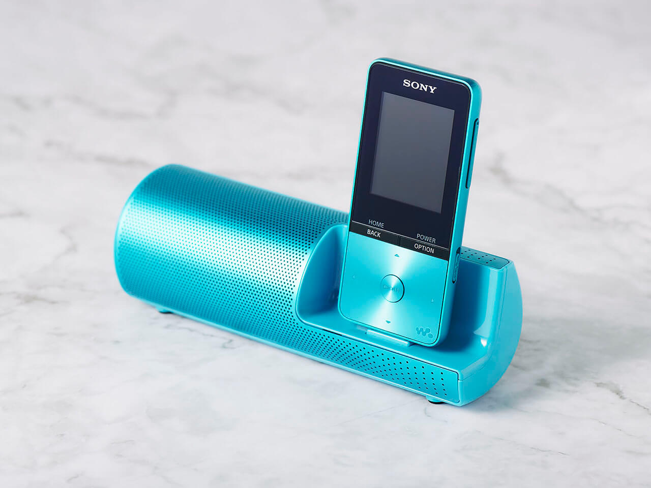 NW-S313K (L) [4GB �u���[]