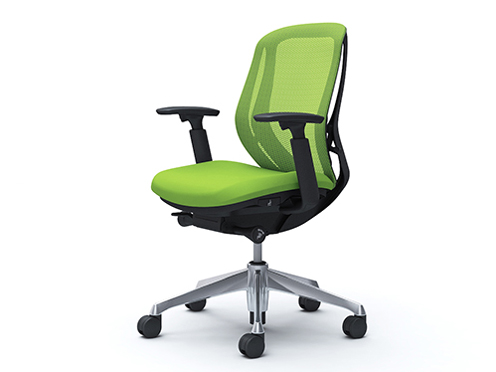 Sylphy C681BR FMP5 [���C���O���[��] �̐��i�摜