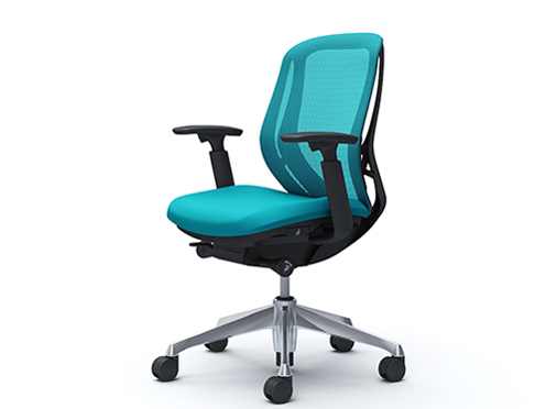 Sylphy C681BR FMR6 [�u���[�O���[��] �̐��i�摜