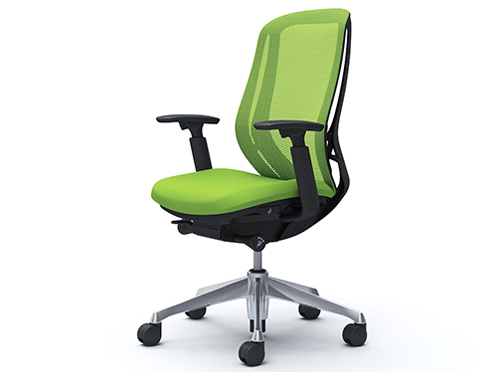 Sylphy C685BR FMP5 [���C���O���[��] �̐��i�摜