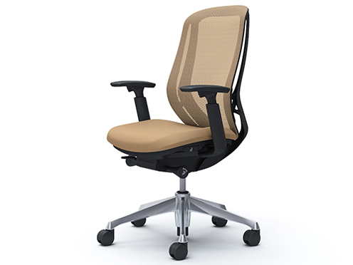 Sylphy C685BR FMP7 [�x�[�W��] �̐��i�摜