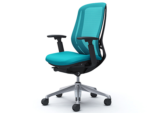 Sylphy C685BR FMR6 [�u���[�O���[��] �̐��i�摜