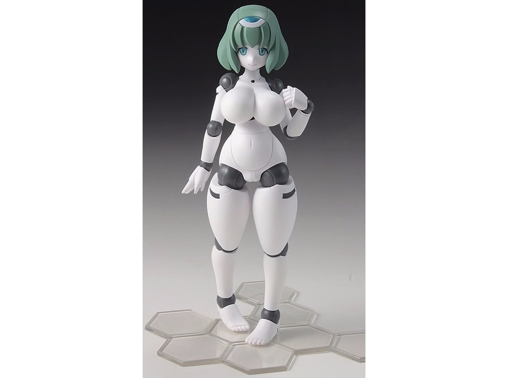 �|���j�A�� FLL�C�A���i �̐��i�摜