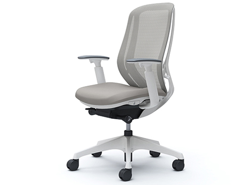 Sylphy C685XW FMR3 [���C�g�O���[] �̐��i�摜