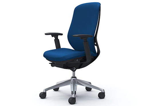 Sylphy C687BR FSF3 [�~�f�B�A���u���[] �̐��i�摜