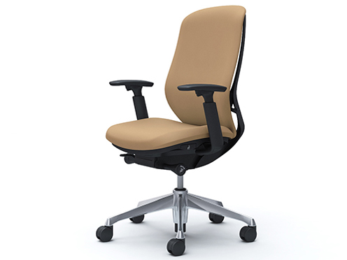 Sylphy C687BR FSF7 [�x�[�W��] �̐��i�摜