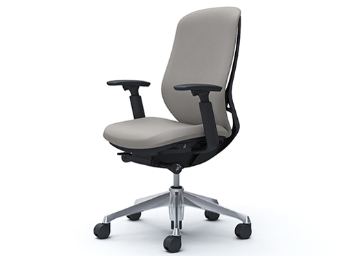 Sylphy C687BR FSG3 [���C�g�O���[] �̐��i�摜