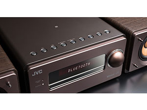 WOOD CONE EX-S55-T [�u���E��]