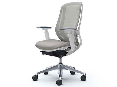 Sylphy C685BW FMR3 [���C�g�O���[] �̐��i�摜