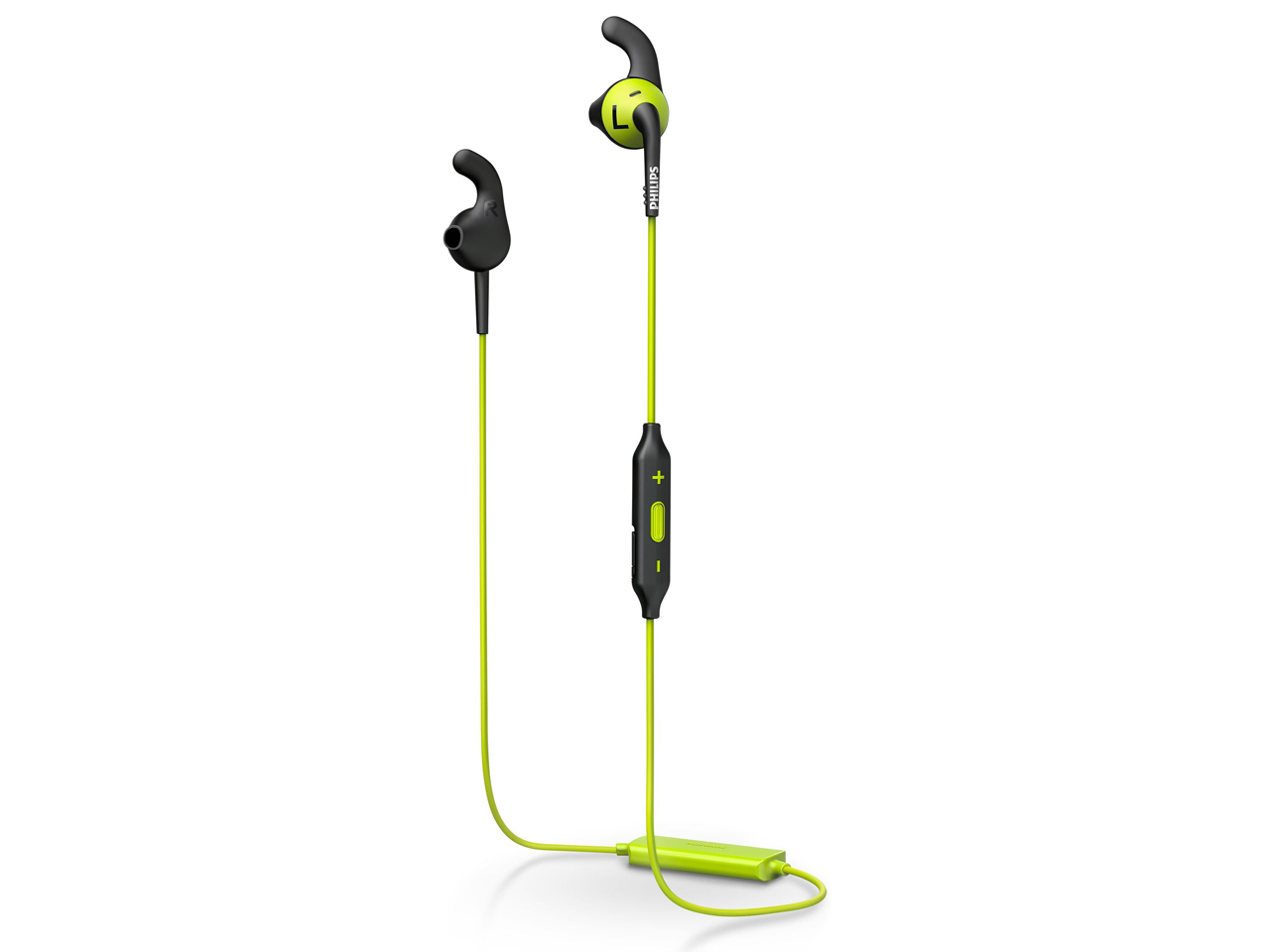 ActionFit SHQ6500CL [���C��] �̐��i�摜