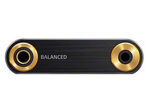 NW-ZX300 (B) [64GB �u���b�N]