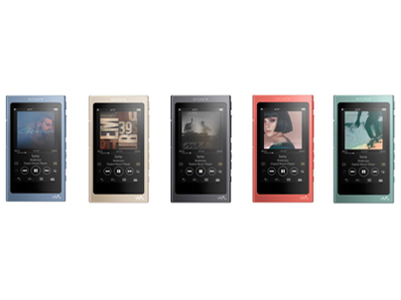 NW-A45 (G) [16GB �z���C�Y���O���[��]