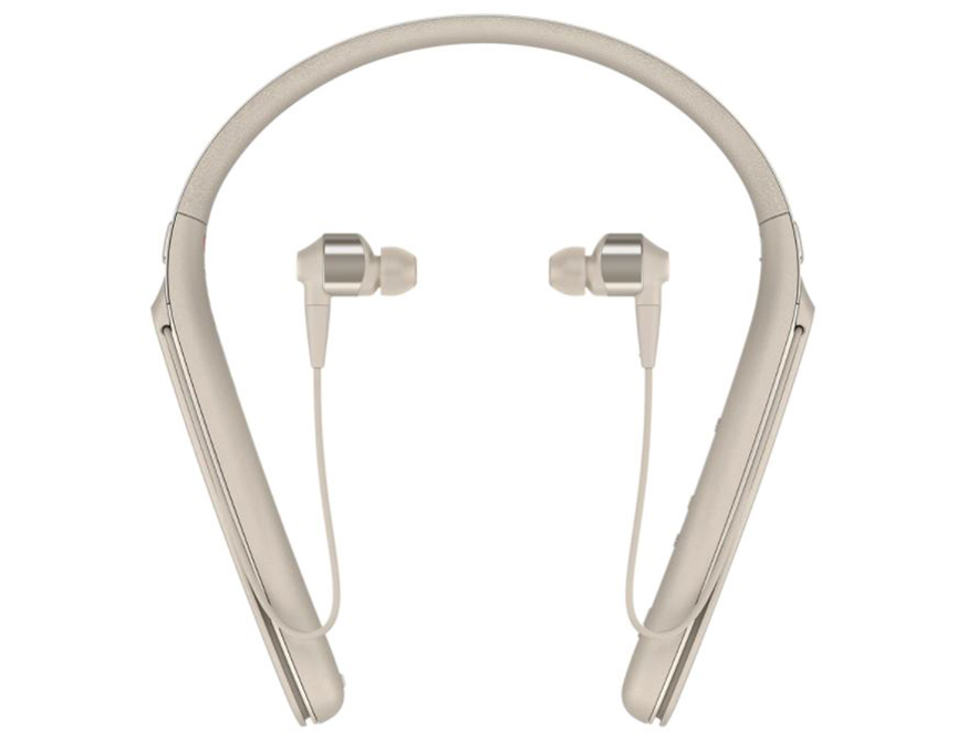 WI-1000X (N) [�V�����p���S�[���h]