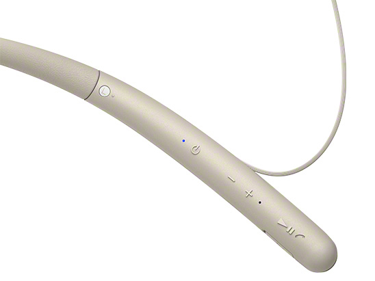 WI-1000X (N) [�V�����p���S�[���h]