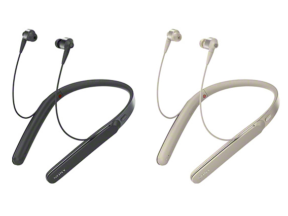 WI-1000X (N) [�V�����p���S�[���h]