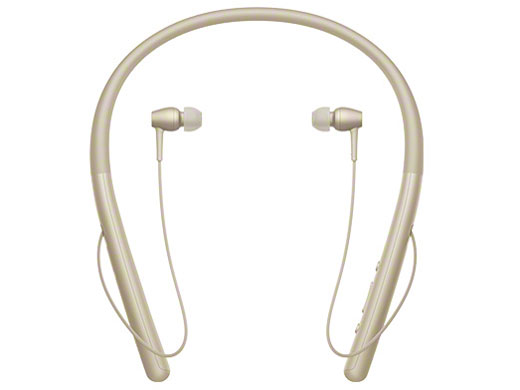 h.ear in 2 Wireless WI-H700 (N) [�y�[���S�[���h]