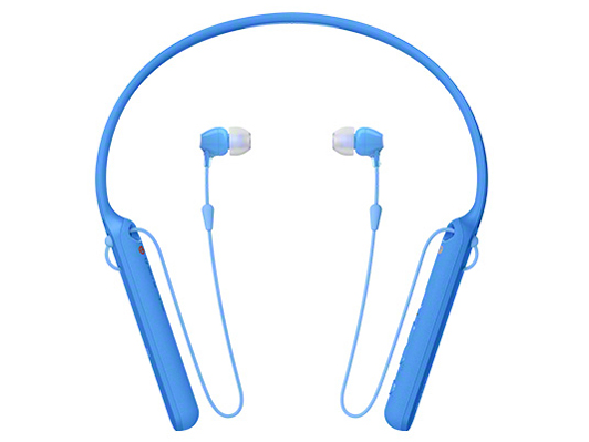 WI-C400 (L) [�u���[]