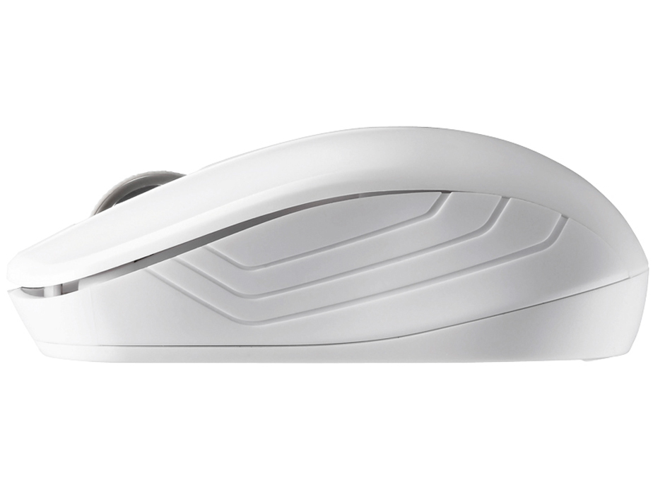 BSMRW050WH [�z���C�g]