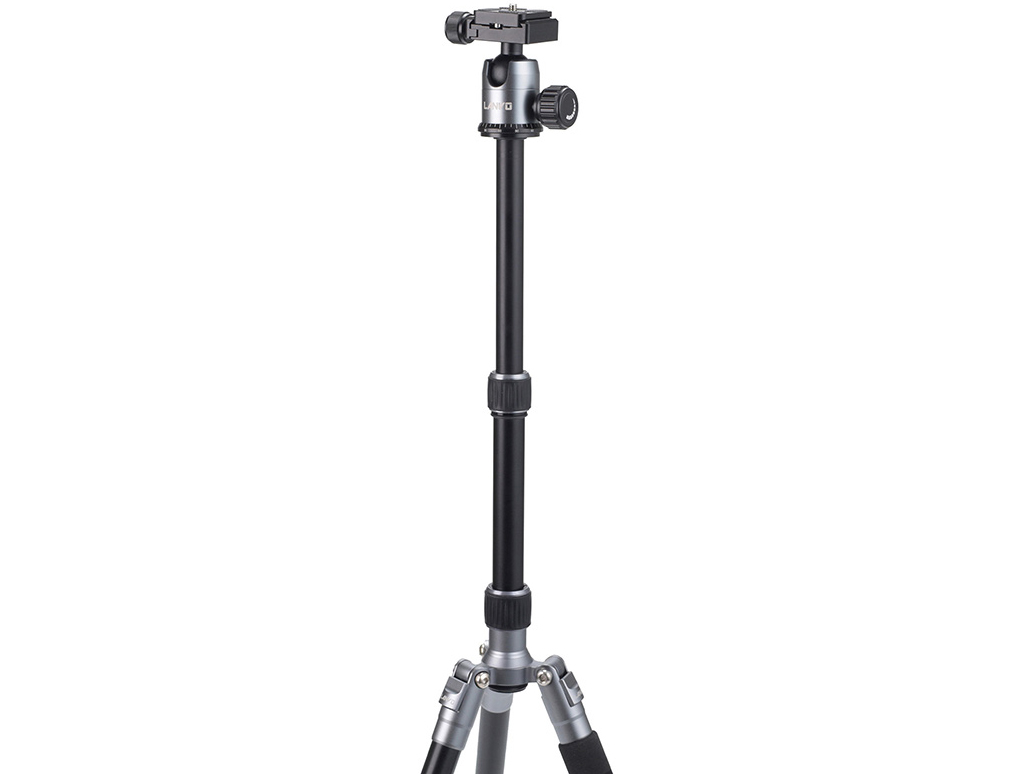 �����{�[S 5�i�O�r E-2135 [�V���o�[]