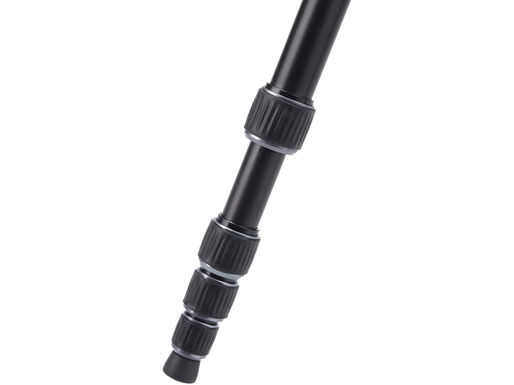 �����{�[S 5�i�O�r E-2135 [�V���o�[]