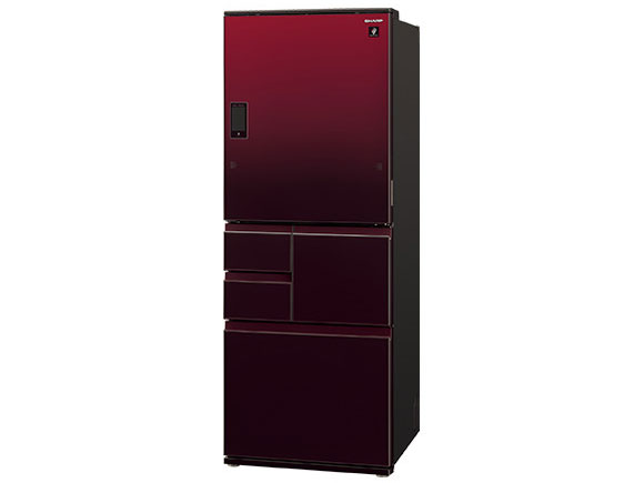 SJ-WX55D-R [�O���f�[�V�������b�h]