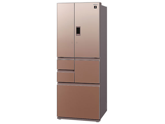 SJ-GX55D-T [�O���f�[�V�����u���E��]